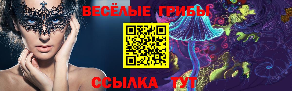 Псилоцибиновые грибы Magic Shrooms  Вход с VPN  Иваново 